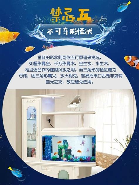 家庭養魚數量|招財魚缸擺放技巧